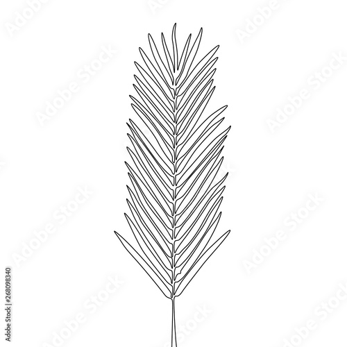 Continuous one line areca leaf, exotic tropical plant