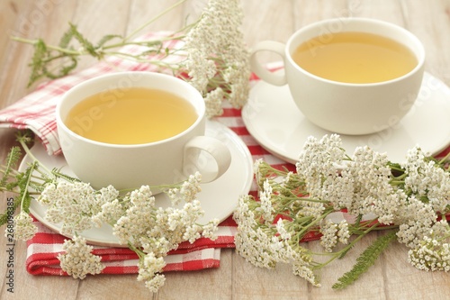 Yarrow tea (Achillea millefolium)