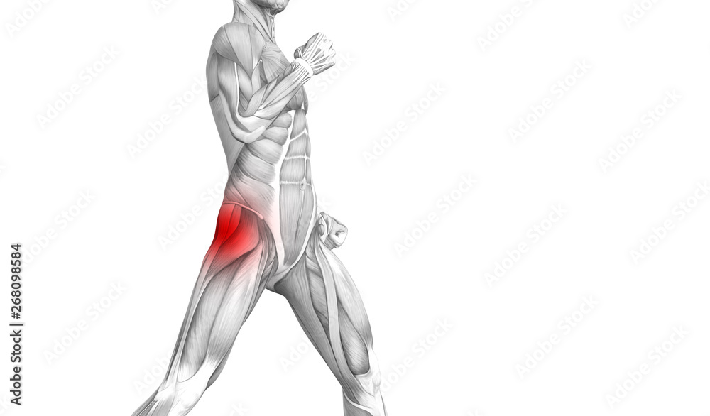 Conceptual hip human anatomy with red hot spot inflammation articular joint pain for leg health care therapy or sport muscle concepts. 3D illustration man arthritis or bone sore osteoporosis disease
