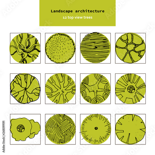 Top view vector set of different green trees.Hand drawn illustration for landscape design, plan, maps.Collection of trees, isolated on the white background.
