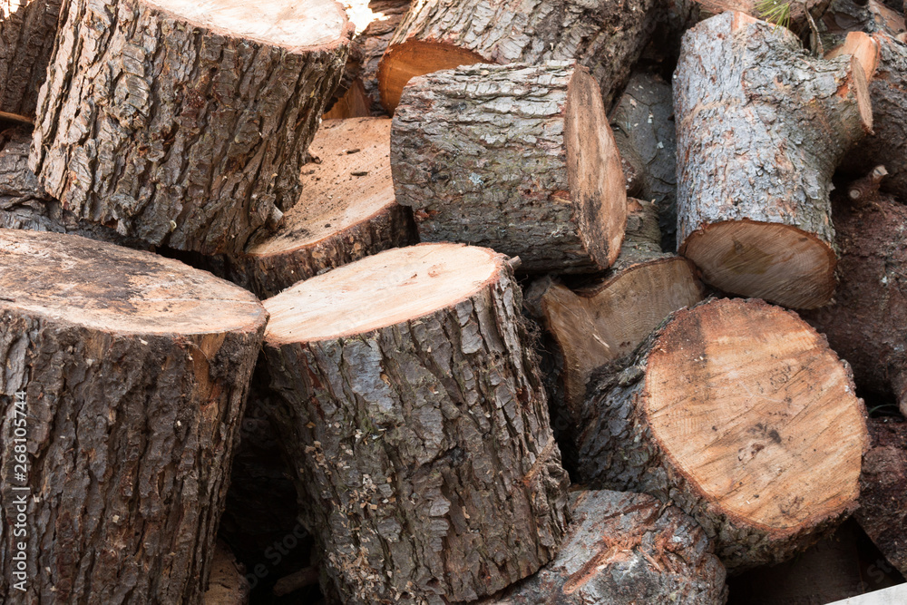Stacked firewood ready for fall and winter Stacked firewood ready for fall and winter