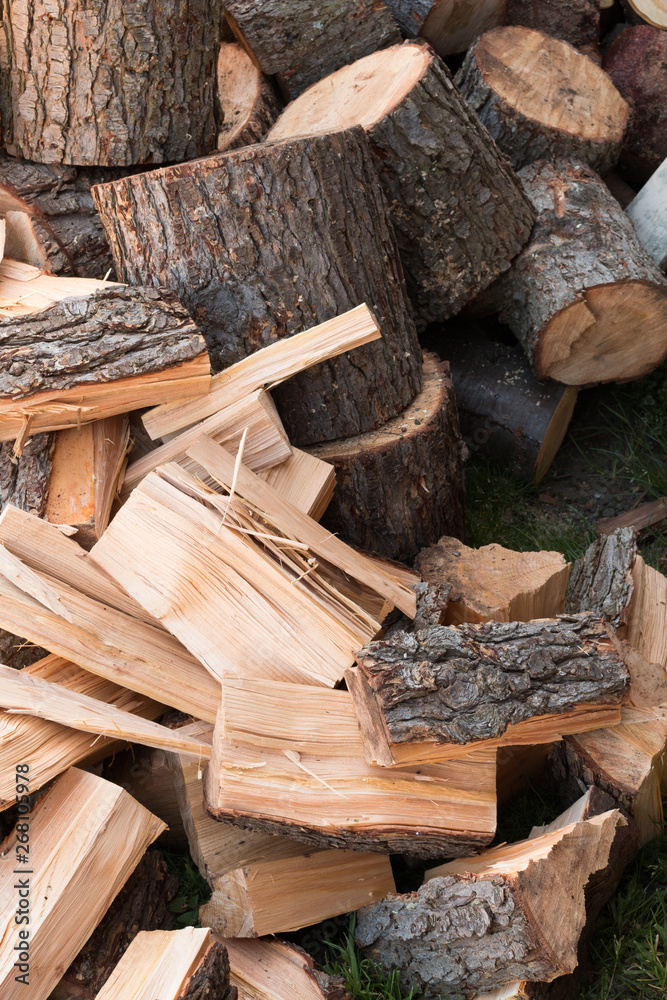 Stacked firewood ready for fall and winter Stacked firewood ready for fall and winter