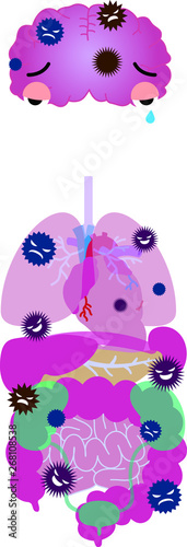 Illustration of cute human organs 
