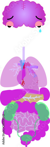 Illustration of cute human organs 