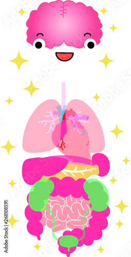 Illustration of cute human organs 