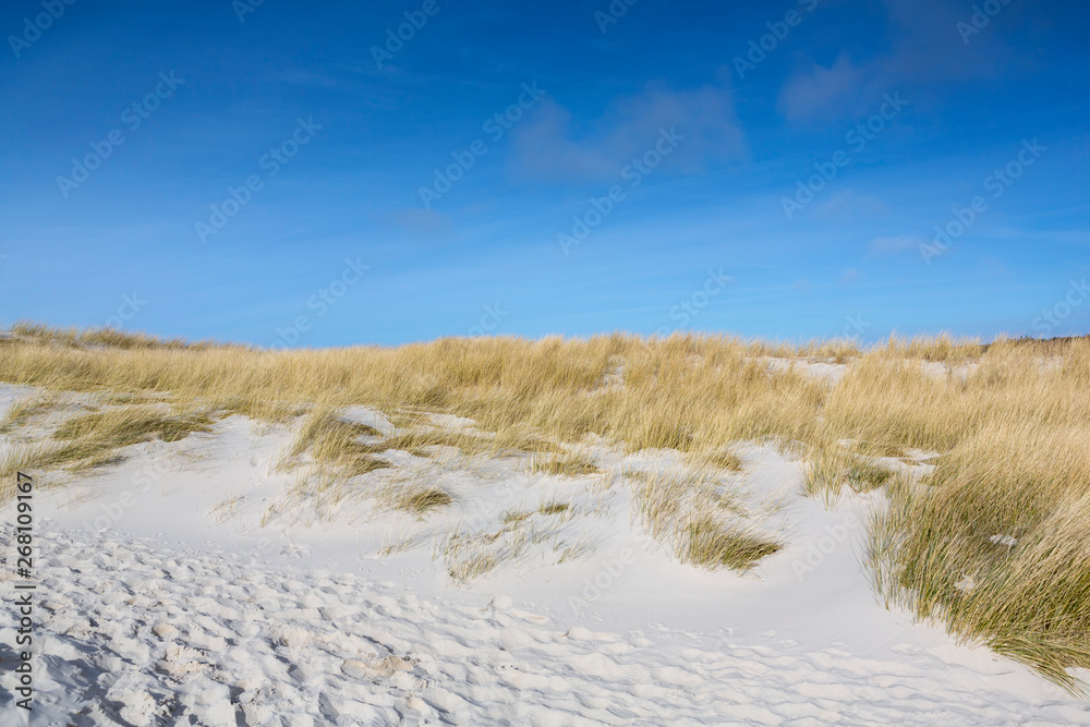 Pathway leading to the sea with footprints in sand on Amrum Pathway leading to the sea with footprints in sand on Amrum