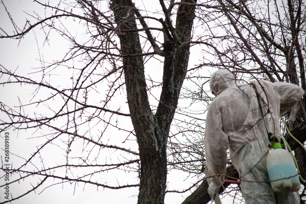 gardener trees covers pesticides gardener trees covers pesticides