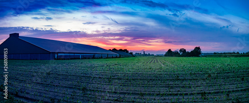 Colorful sunrise, typical Dutch agricultural landscape