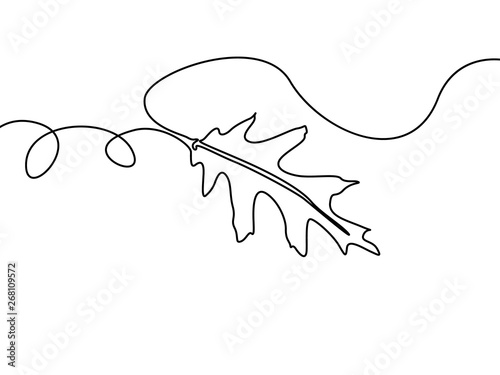 Continuous one line leaf, vector photo