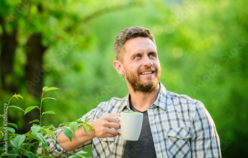 Green tea contains bioactive compounds that improve health. Whole leaf tea. Natural drink. Healthy lifestyle. I prefer green tea. Refreshing drink. Man bearded tea farmer hold mug nature background photo