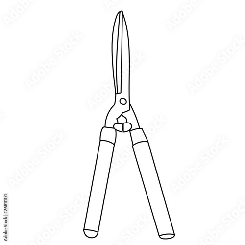 vector, isolated, garden shears, gardening, sketch
