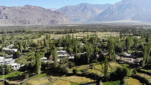 4k aerial view of green settlement in dry valley in Ladakh in India