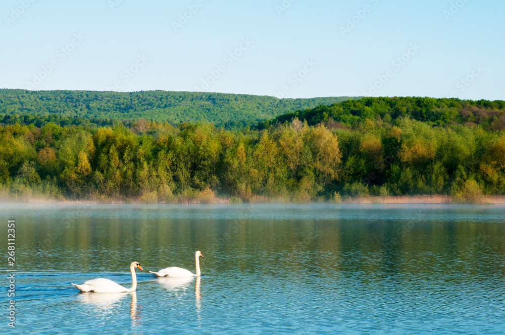 Blooming trees on a mountain lake in the open air against the background of the forest and mountains Blooming trees on a mountain lake in the open air against the background of the forest and mountains