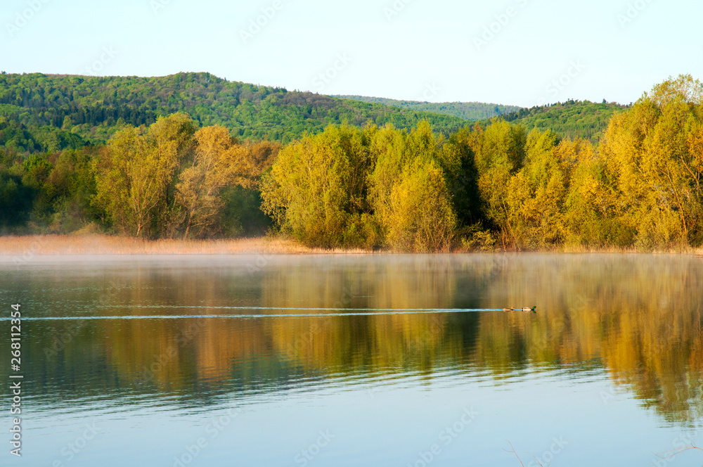 Blooming trees on a mountain lake in the open air against the background of the forest and mountains Blooming trees on a mountain lake in the open air against the background of the forest and mountains