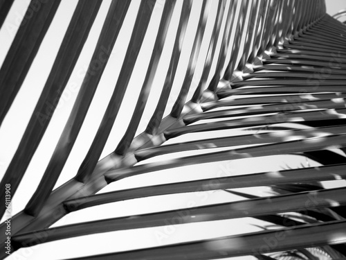 Background of coconut leaf leaves from black and white.