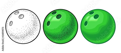 Bowling ball. Vector color engraving illustration. Isolated on white