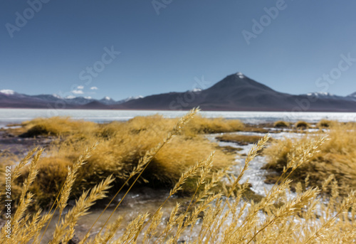 Laguna blanca in the Salar de Uyuni, Bolivia photo
