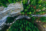 Creek winding through cliffs and forests seen from a drone