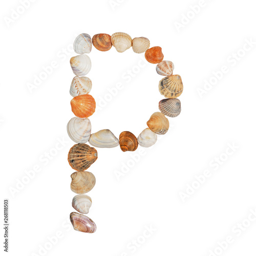 letters of the English alphabet, made of seashells