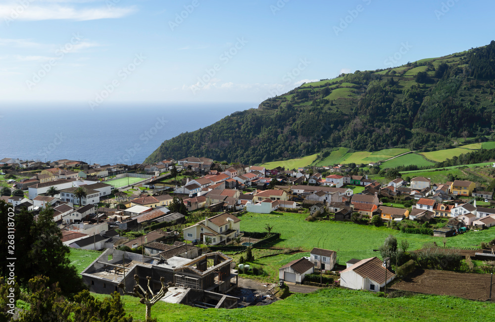 landscape with cows from the island of Azores in Portugal 