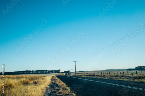 road in the field, blue clear sky