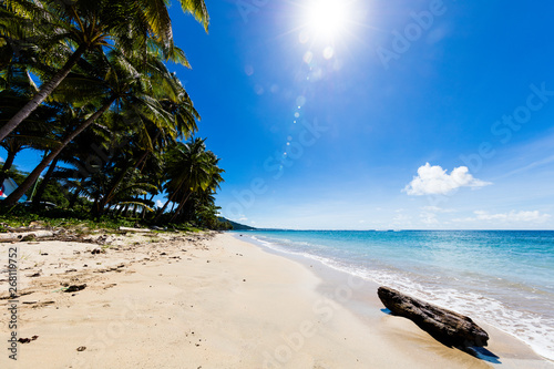 Fototapeta Naklejka Na Ścianę i Meble -  Vibrant tropical beach on Samoa Island with coconut palm trees and black rocks