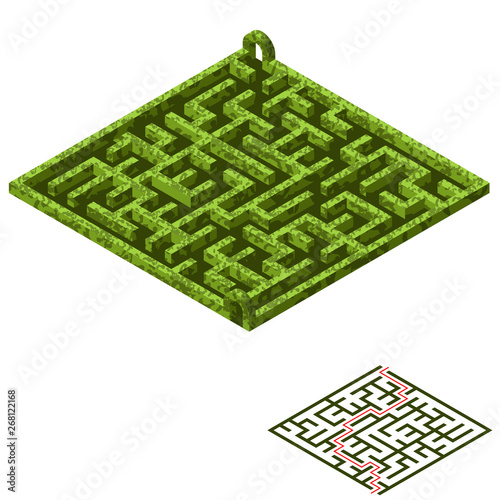 Maze game asset. Isometric garden maze with a solution