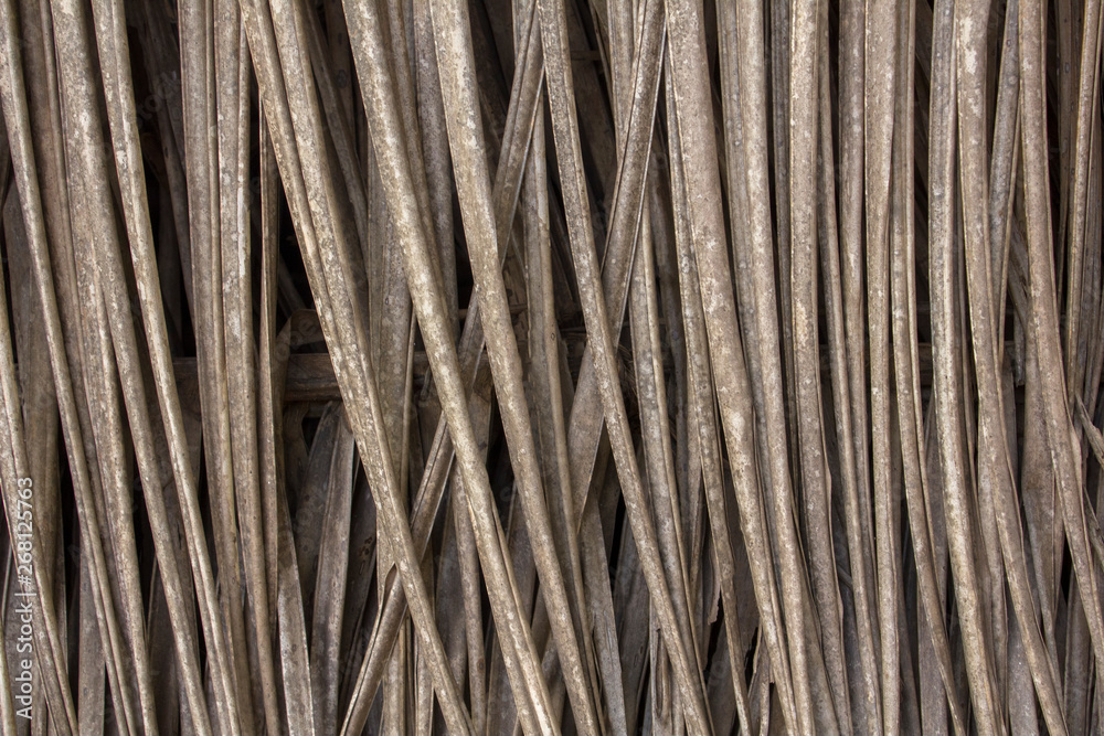 gray dry palm leaf closeup. vertical lines. natural surface texture gray dry palm leaf closeup. vertical lines. natural surface texture