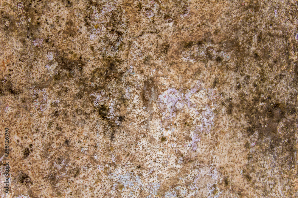 old dirty damaged white gray concrete wall with black mold and green moss. rough surface texture old dirty damaged white gray concrete wall with black mold and green moss. rough surface texture