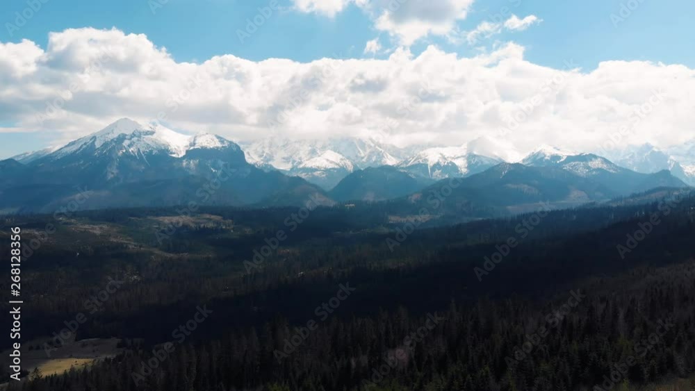 Tranquil destination of Tatra Zakopane mountain pine woods, drone shot