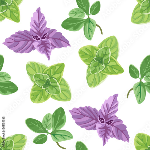 Marjoram, oregano, basil seamless pattern on a white background. Vector illustration of fragrant herbs in cartoon flat style.
