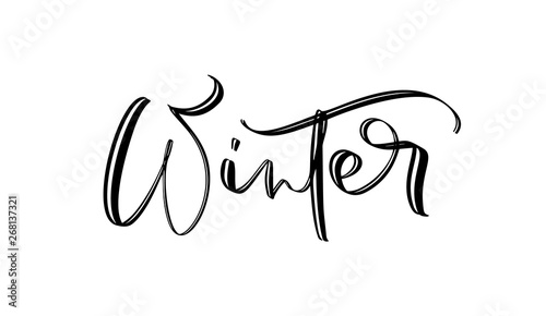 Winter wonderland text, hand drawn brush lettering. Holiday greetings quote isolated on white. Great for Christmas and New year cards, gift tags and labels, photo overlays.