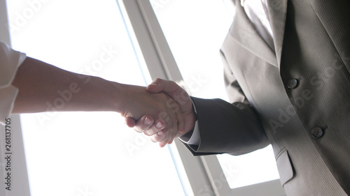 Two business partner shake hands when meeting between a man and woman in suit. Successful deal.