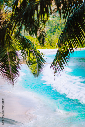 Palm tree leaves on beautiful tropical paradise Anse intendance beach. Ocean wave roll on sandy beach with coconut palm trees. Mahe  Seychelles