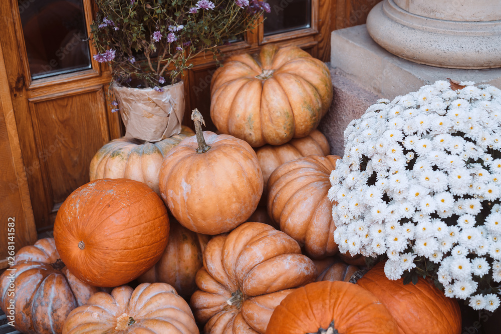 Autumn decoration with pumpkins and flowers on a street in a European city Autumn decoration with pumpkins and flowers on a street in a European city