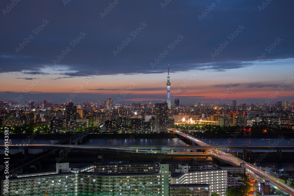 Fototapeta premium Piękne Tokyo Skytree w Japonii, koncepcja City scaps