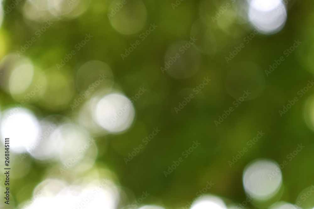Obraz premium abstract green background with bokeh