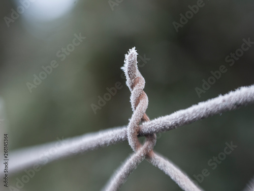 Frozen barbed wire detail in winter