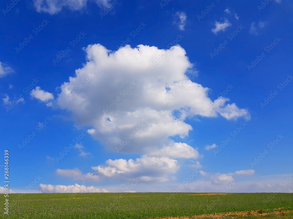 Single Cloud over green Meadow