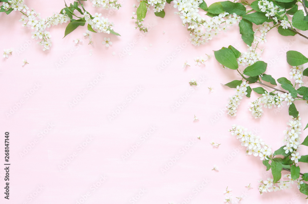 Flowers composition. Spring or summer background; fresh flowers bird cherry on pink background. - Flat lay, top view, copy space. - Image Flowers composition. Spring or summer background; fresh flowers bird cherry on pink background. - Flat lay, top view, copy space. - Image