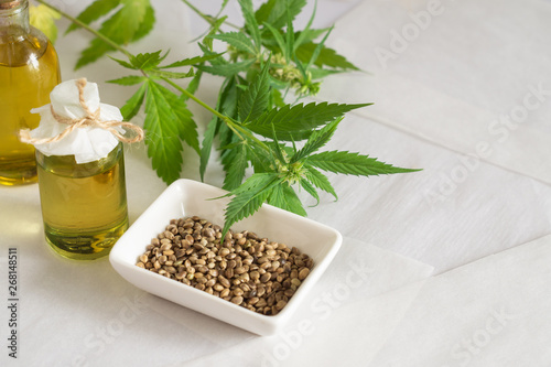 Hemp products concept. Cannabis seed oil and green plant