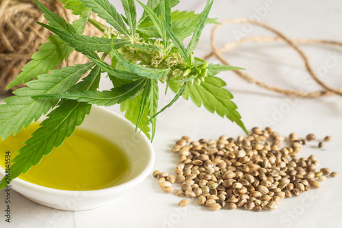 Hemp products concept. Cannabis seed oil, skein and green plant