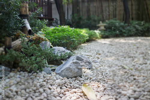 Small japanese style rock garden
