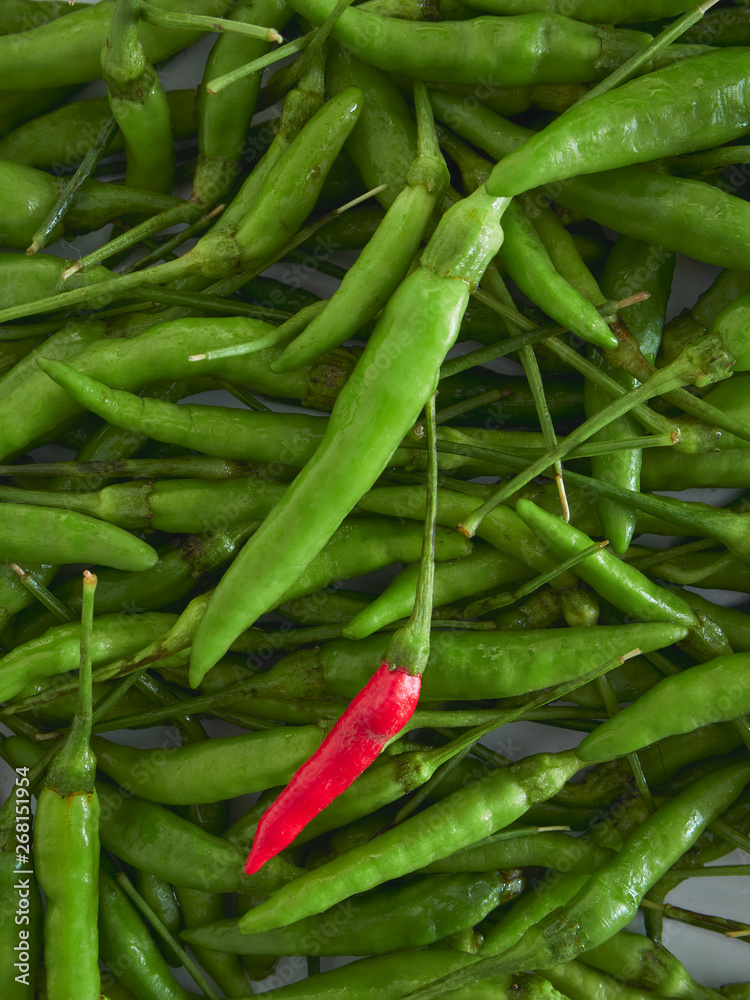 A Red Chili pepper with Green chili peppers A Red Chili pepper with Green chili peppers