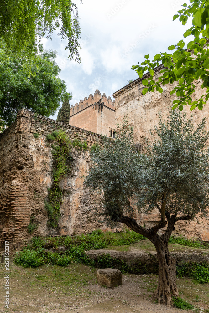 Fototapeta premium Free transit areas in the outdoor gardens of the Alhambra in Granada, Spain