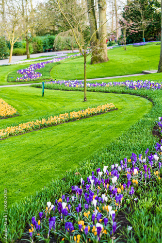 flower garden with blooming