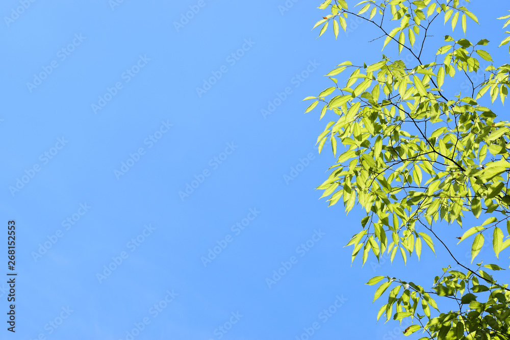 青空 青空