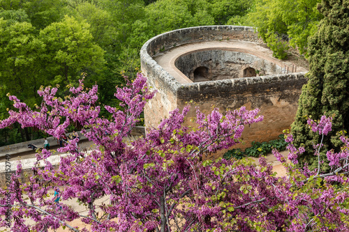 Free transit areas in the outdoor gardens of the Alhambra in Granada, Spain