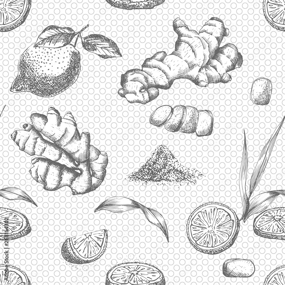 Seamless pattern hand drawn of Ginger roots, lemon, lives and flowers in black color white background. Retro vintage graphic design Botanical sketch drawing, engraving style.