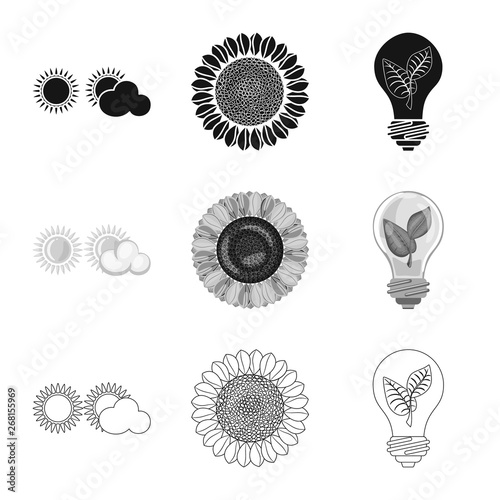 Vector illustration of innovation and technology  symbol. Set of innovation and nature  stock symbol for web.